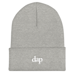 dap beanie (gray)